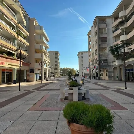 L'ecrin De Juan, T2 De Standing, 2p, Plages Et Parcs Apartmán *
